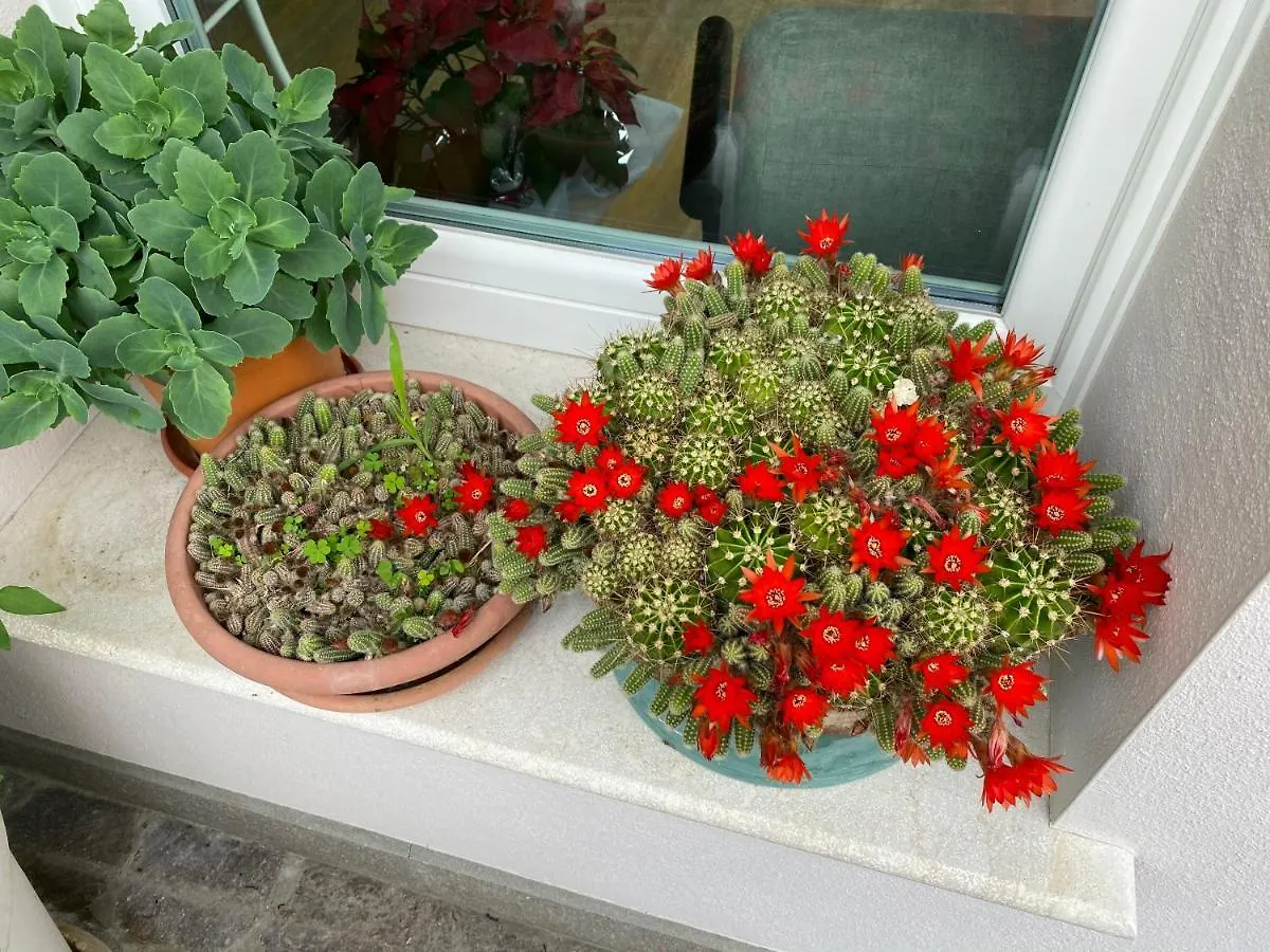 Appartement Casa Vacanze Gardiolina San Felice del Benaco